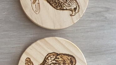 Bald Eagle Coaster Set 6
